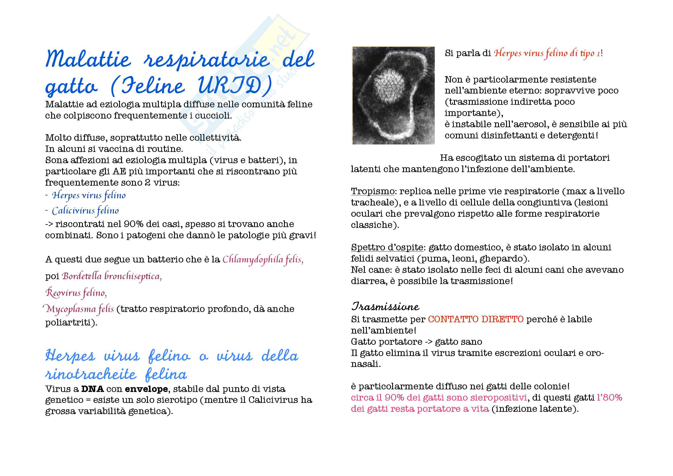 Malattie infettive degli animali da compagnia Pag. 41