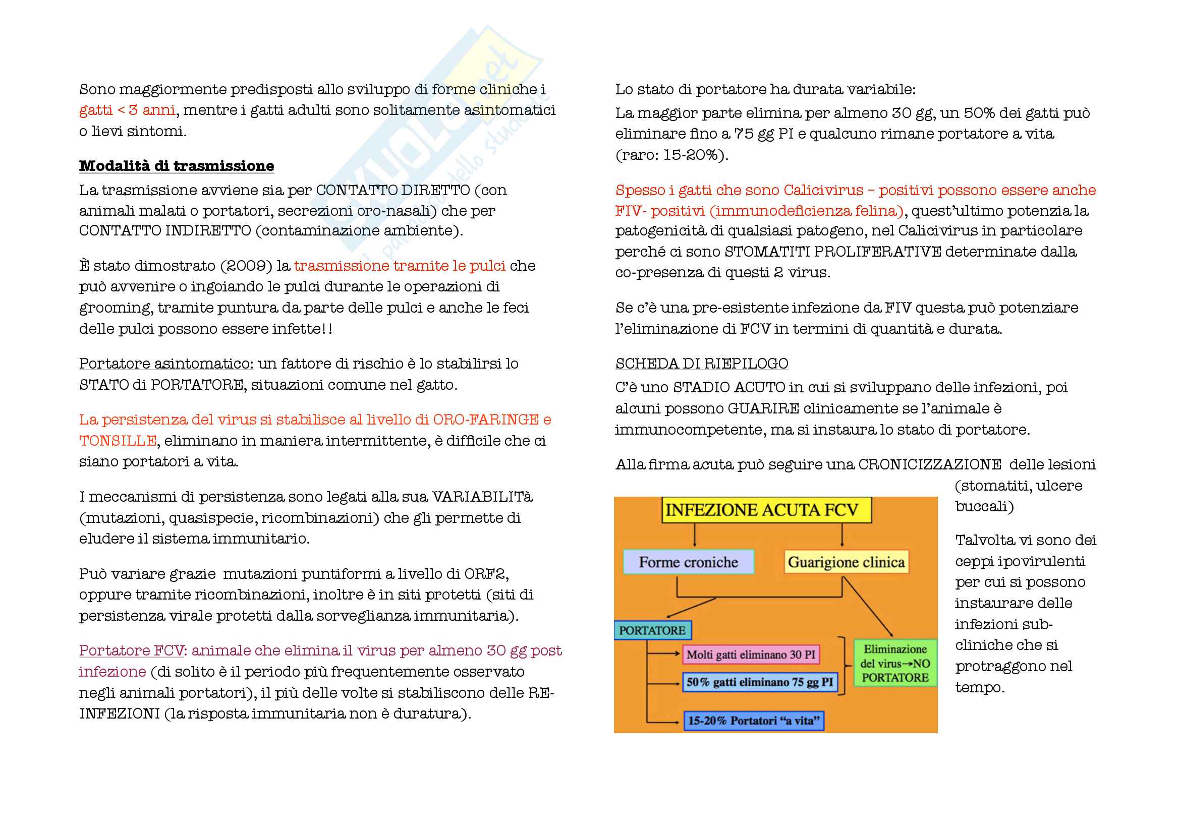 Malattie infettive degli animali da compagnia Pag. 46