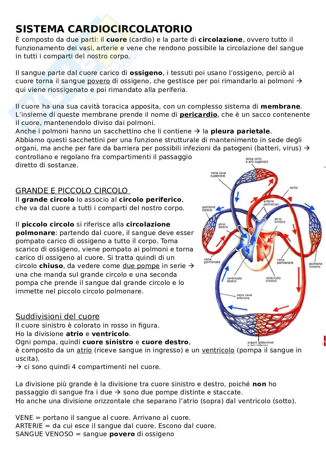 Sistema cardiocircolatorio Pag. 1