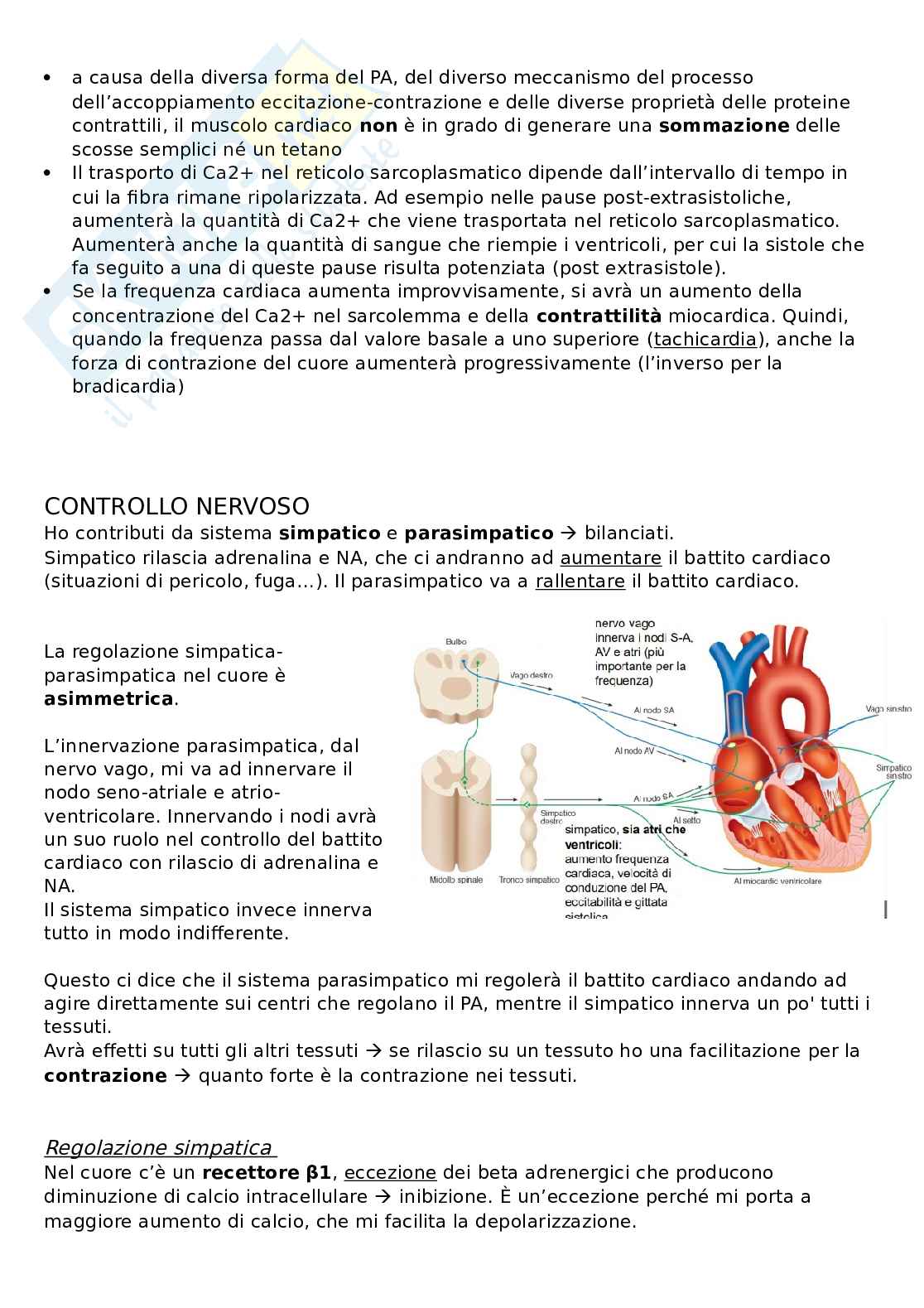 Sistema cardiocircolatorio Pag. 11