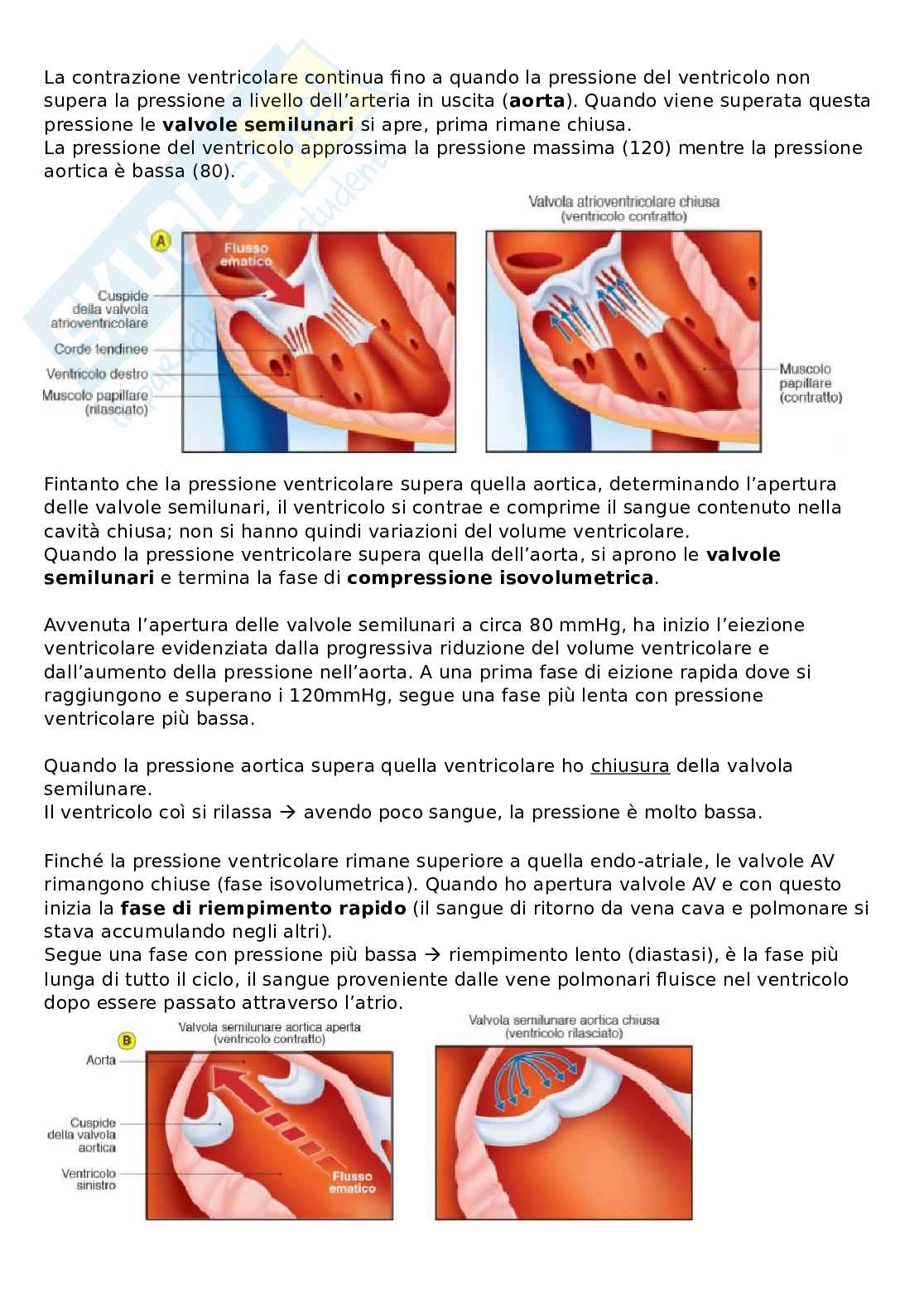Sistema cardiocircolatorio Pag. 16