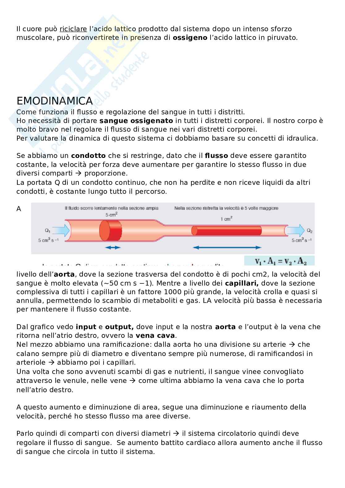 Sistema cardiocircolatorio Pag. 21