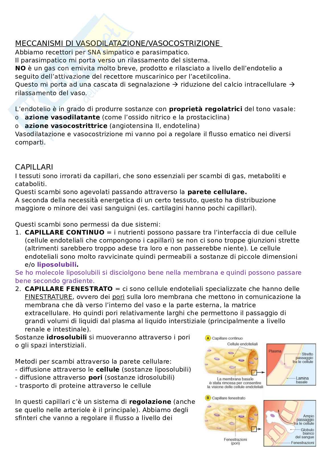 Sistema cardiocircolatorio Pag. 26