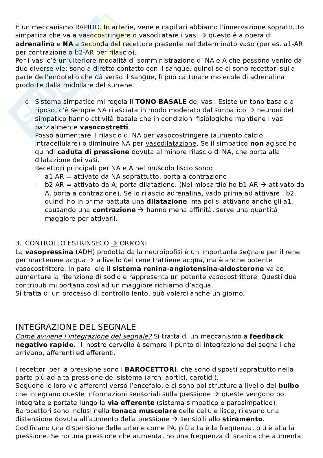 Sistema cardiocircolatorio Pag. 31