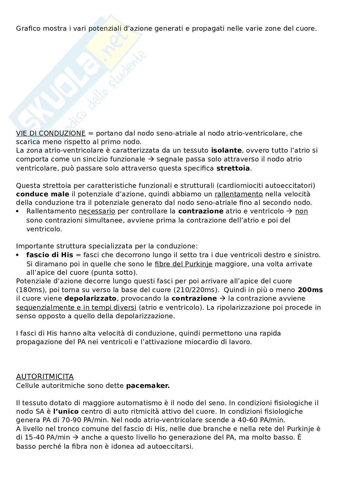 Sistema cardiocircolatorio Pag. 6