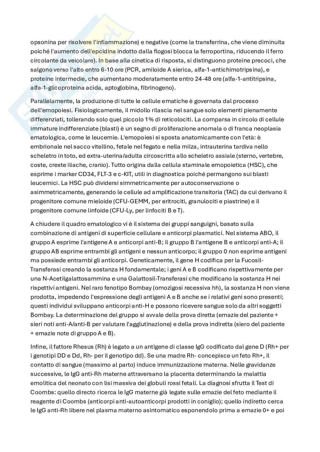 Sangue Pag. 6