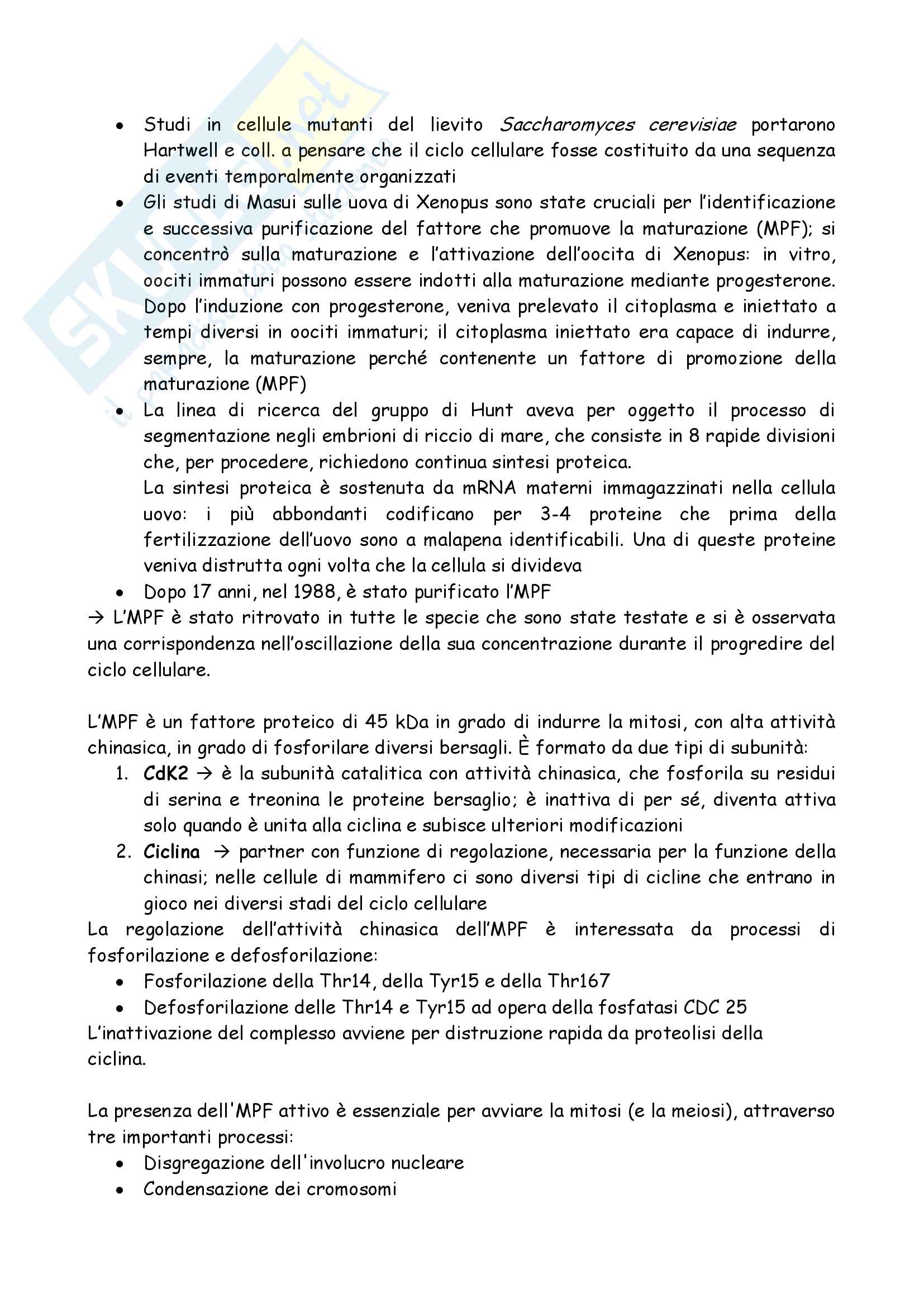 Totale Genetica Pag. 106
