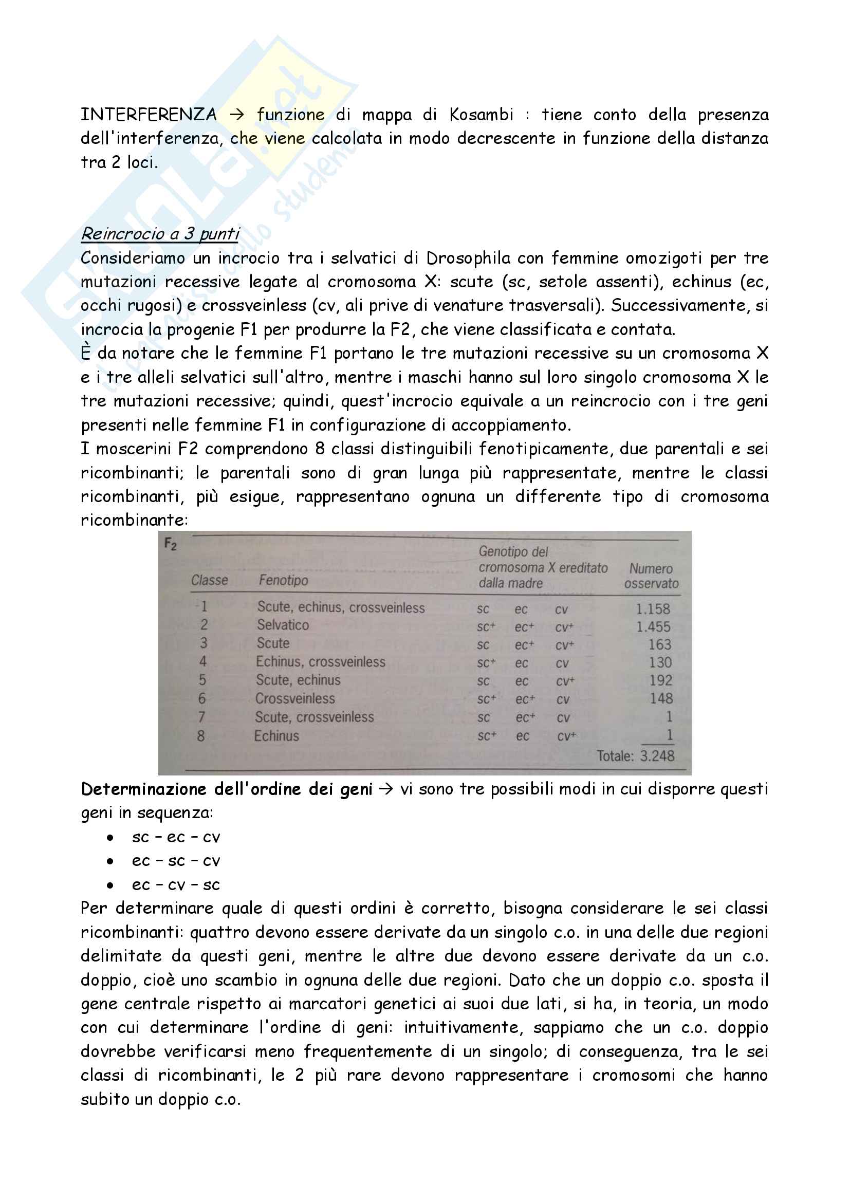 Totale Genetica Pag. 31