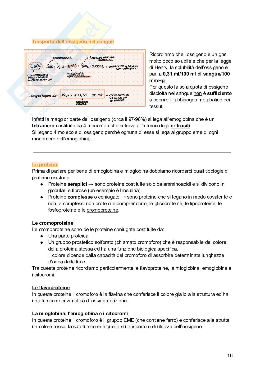 Biochimica I (2025/2026) Pag. 16