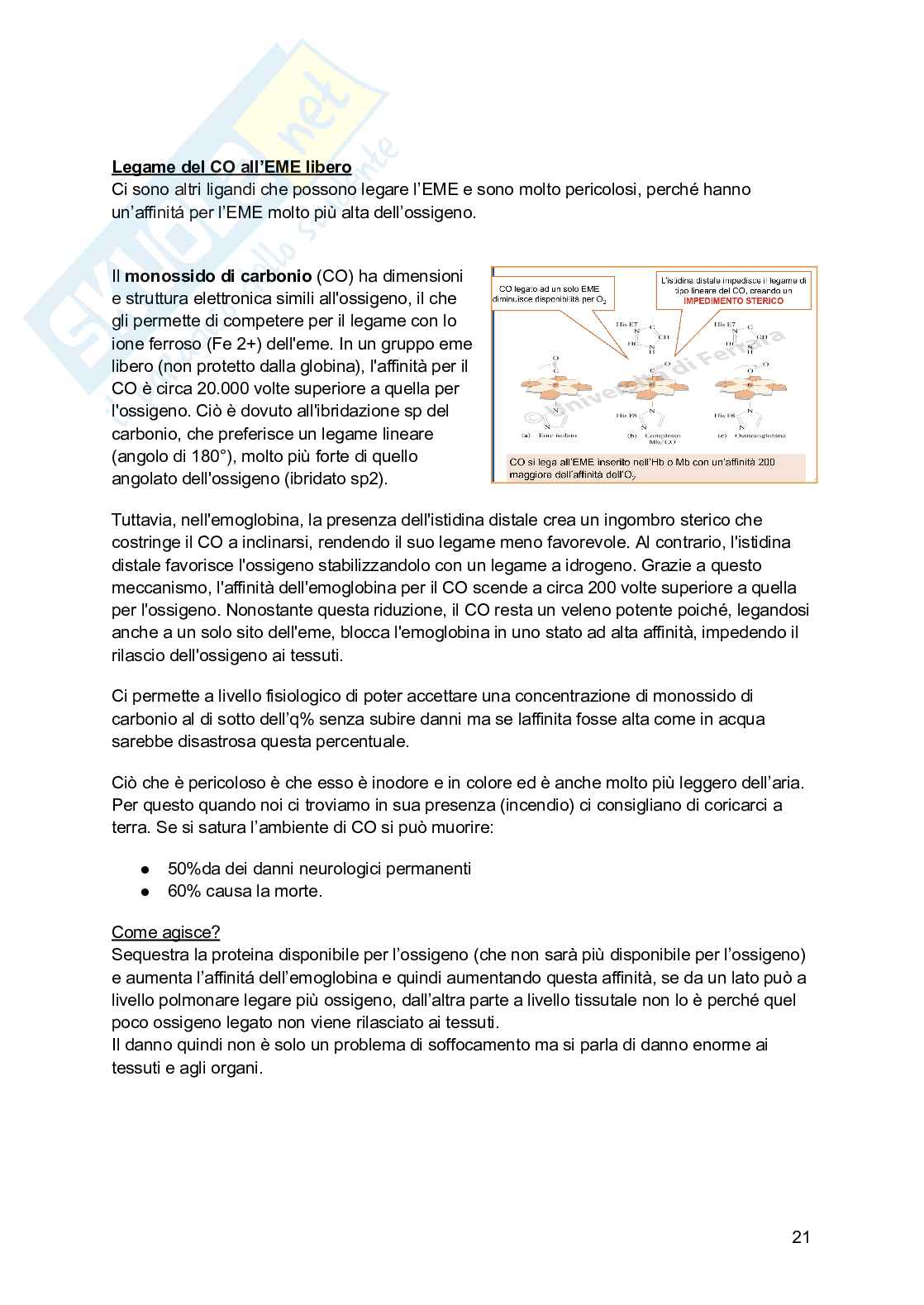 Biochimica I (2025/2026) Pag. 21