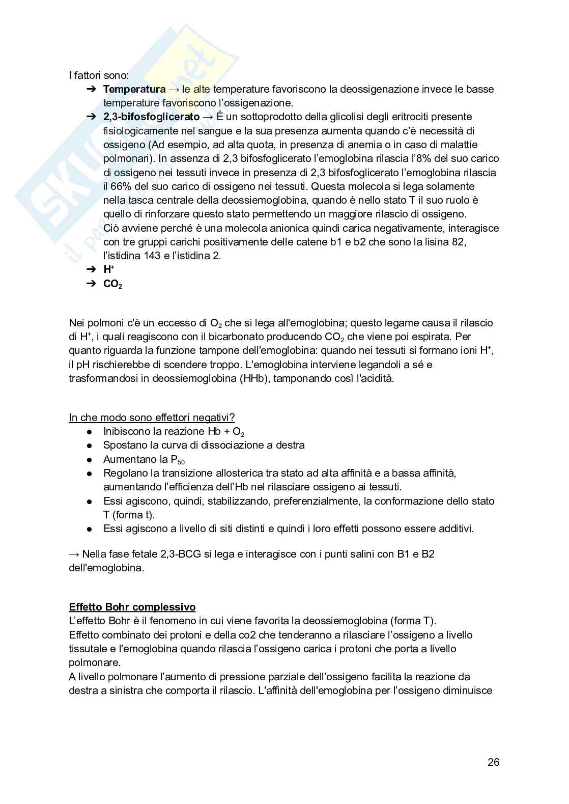 Biochimica I (2025/2026) Pag. 26