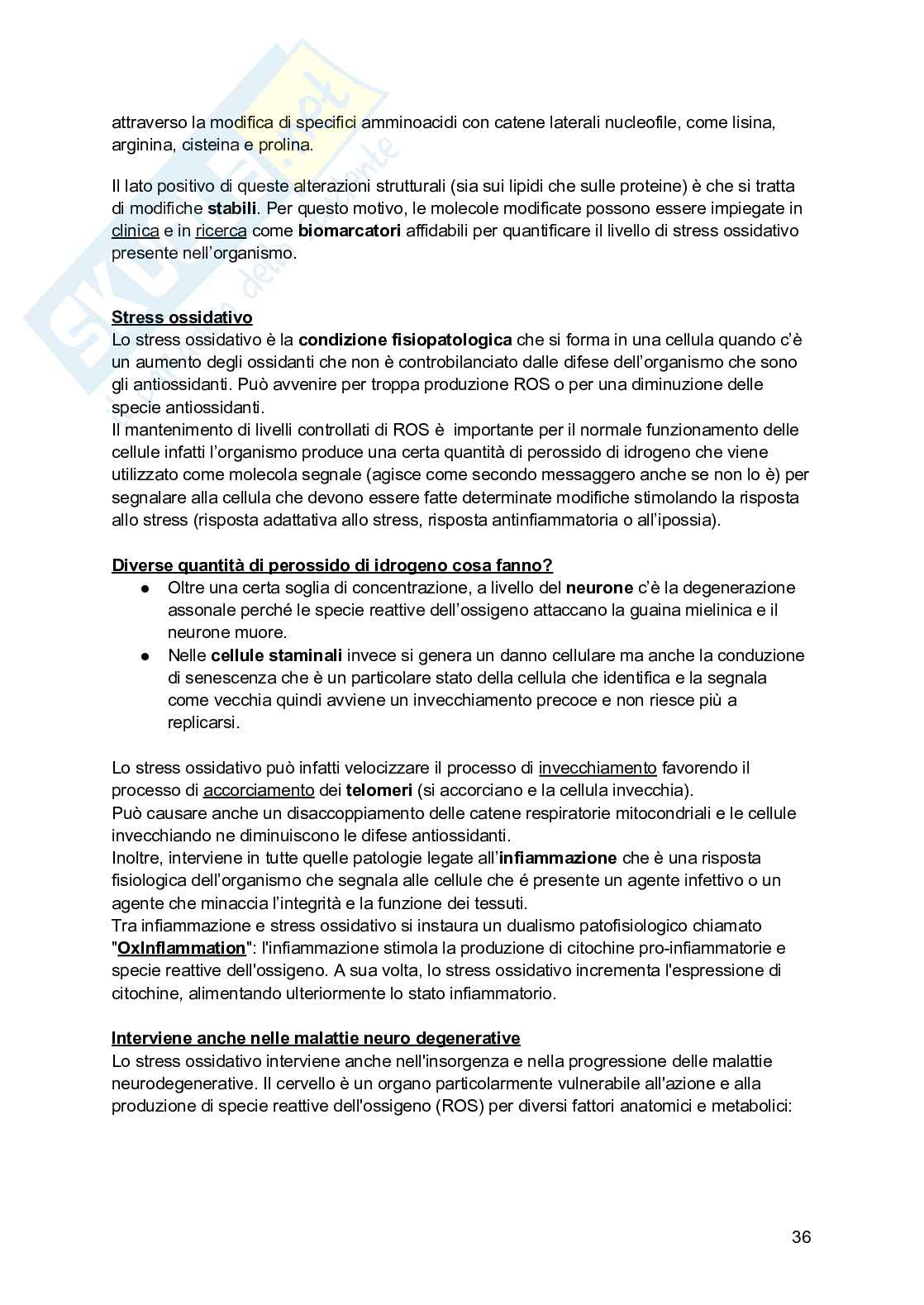 Biochimica I (2025/2026) Pag. 36
