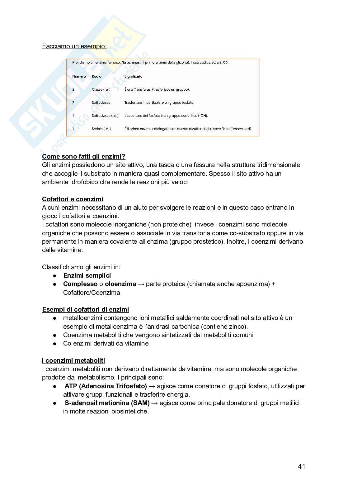 Biochimica I (2025/2026) Pag. 41
