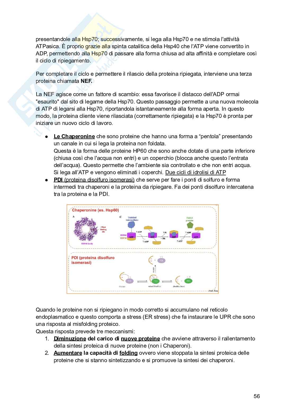 Biochimica I (2025/2026) Pag. 56