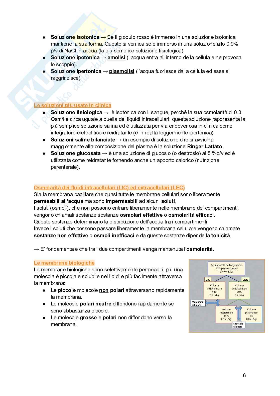Biochimica I (2025/2026) Pag. 6