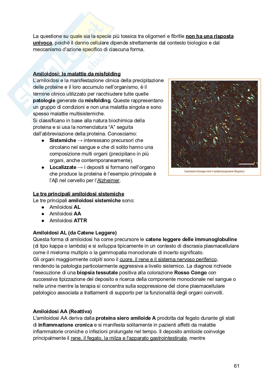 Biochimica I (2025/2026) Pag. 61
