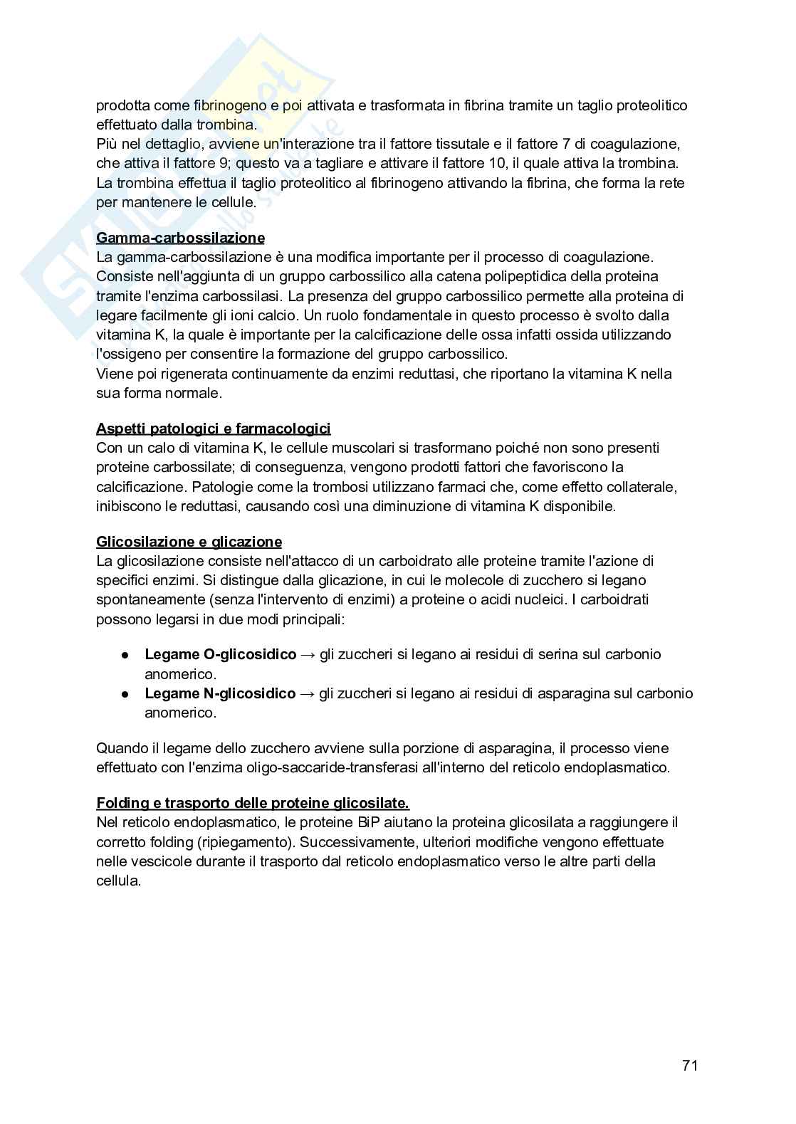 Biochimica I (2025/2026) Pag. 71