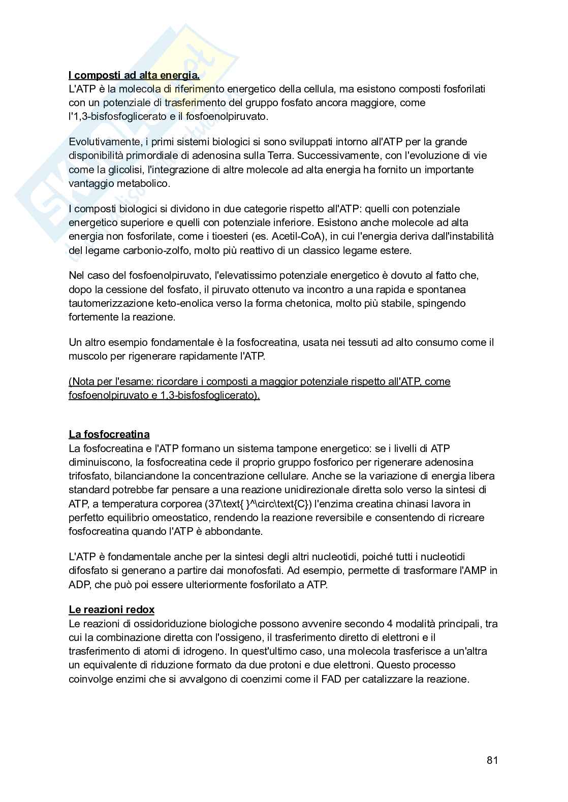 Biochimica I (2025/2026) Pag. 81