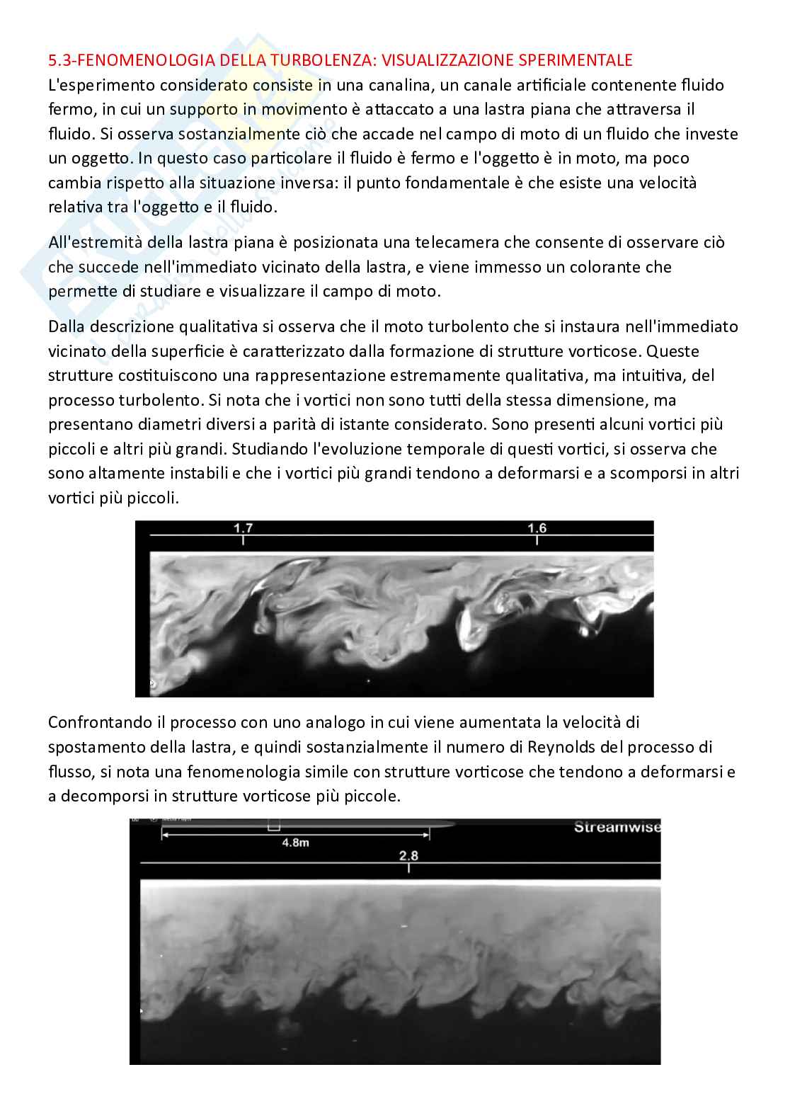 Meccanica dei fluidi, parte finale - Risoluzione numerica delle equazioni di Navier Stokes  Pag. 6