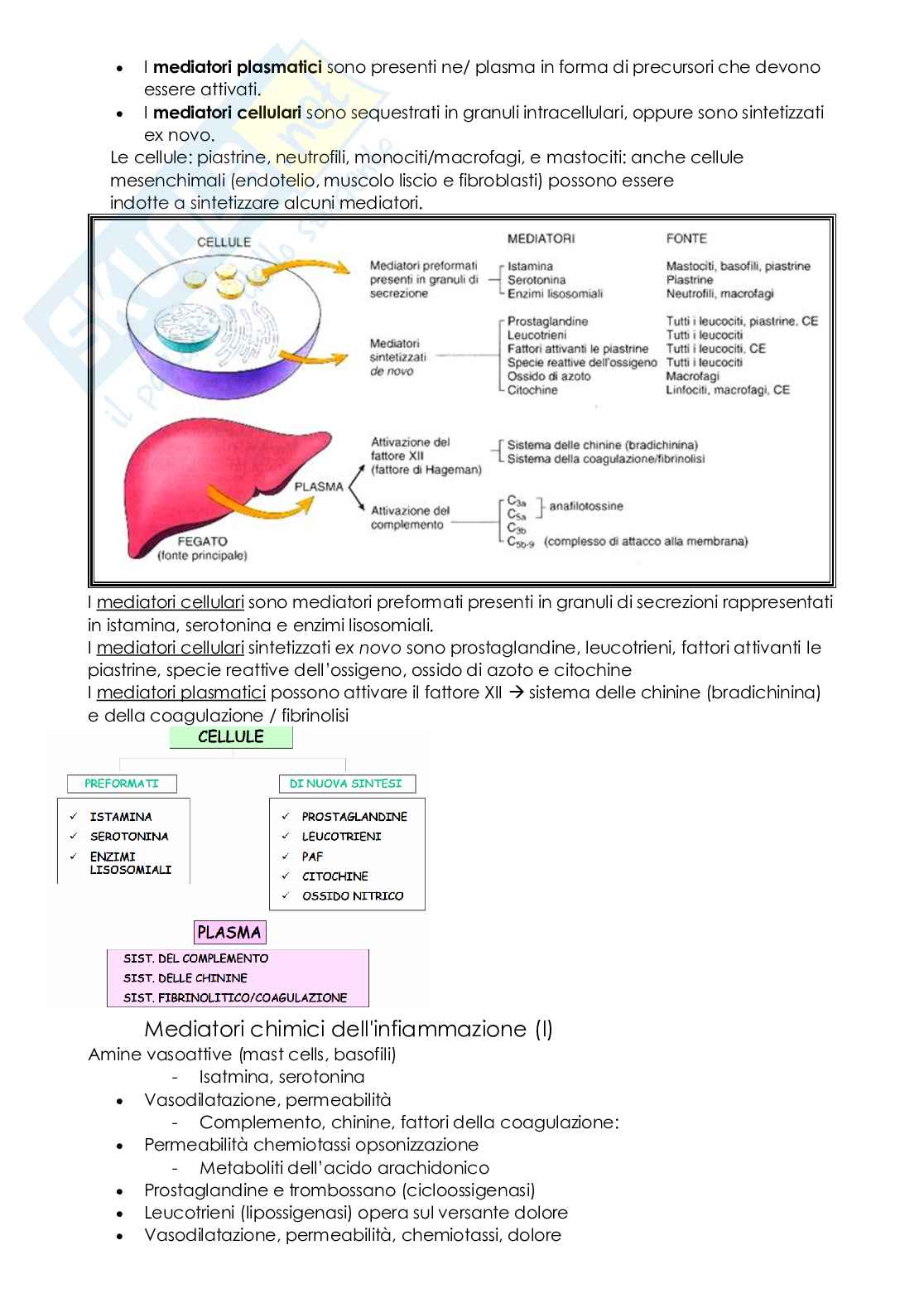 Patologia generale e terminologia medica Pag. 51
