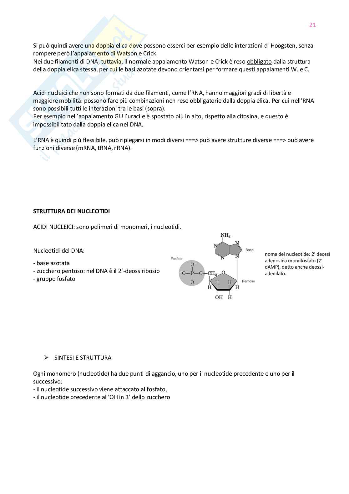 Appunti di Biologia molecolare  Pag. 21