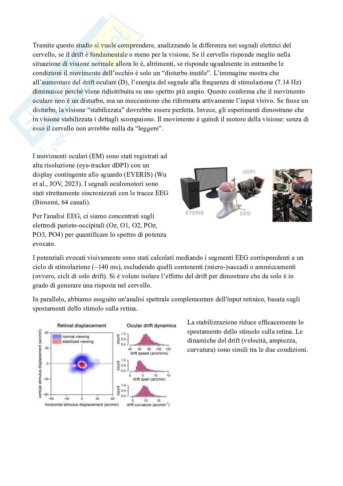 Metodi di psicofisiologia e neuroimaging nella clinica e nelle neuroscienze cognitive Pag. 21