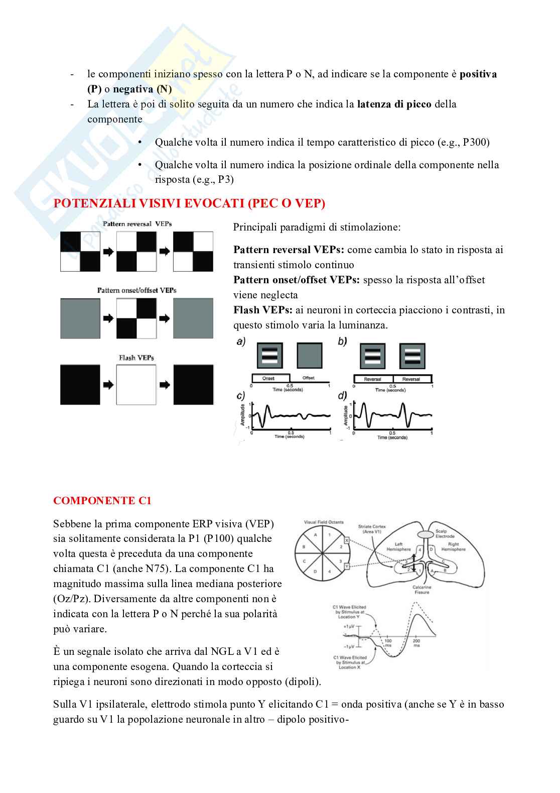 Metodi di psicofisiologia e neuroimaging nella clinica e nelle neuroscienze cognitive Pag. 46