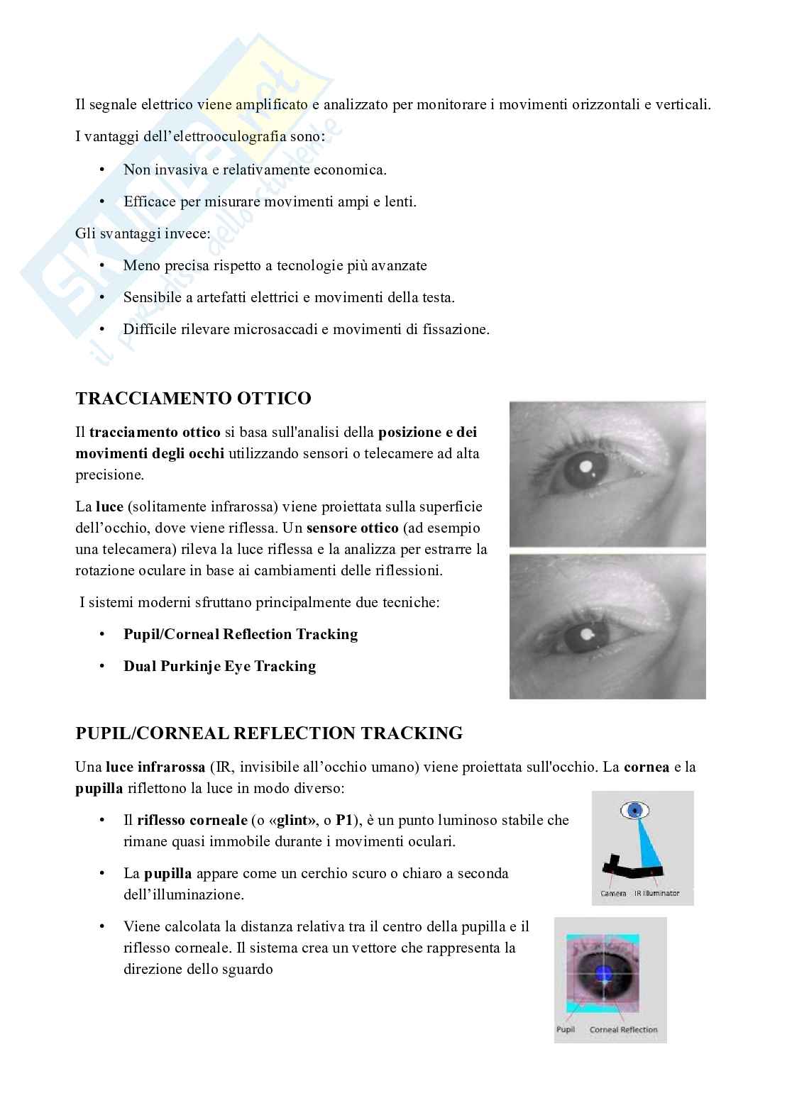 Metodi di psicofisiologia e neuroimaging nella clinica e nelle neuroscienze cognitive Pag. 6