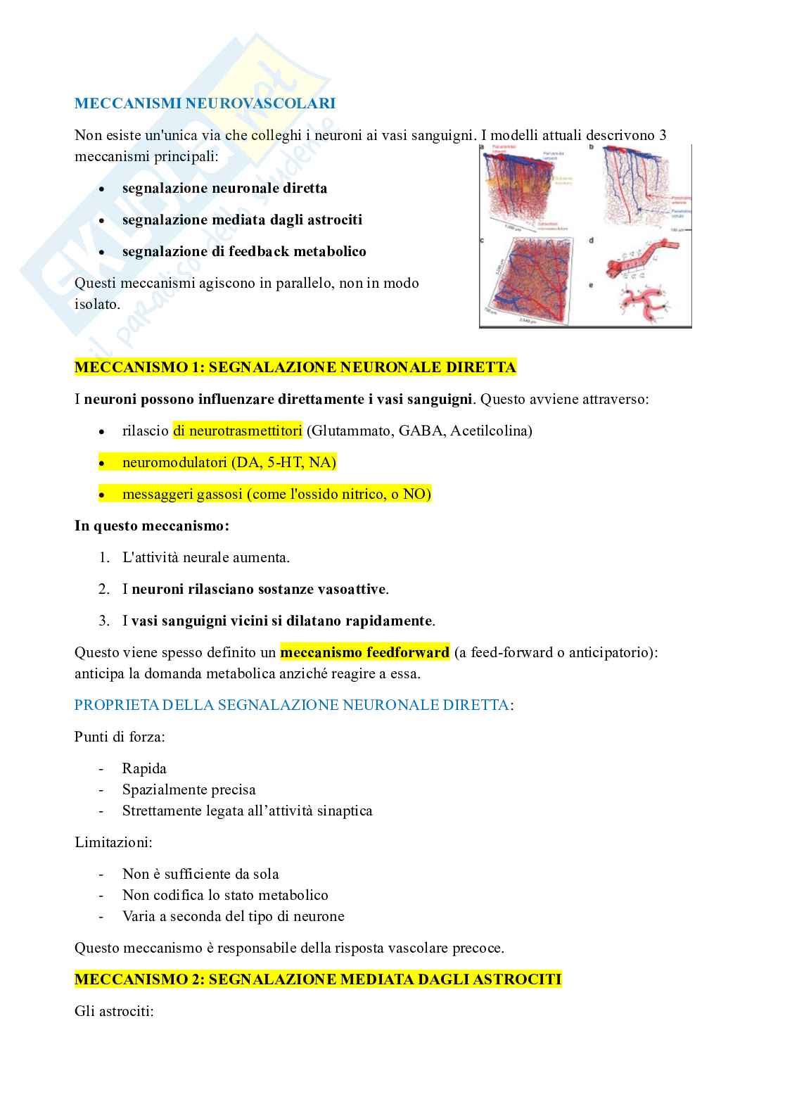 Metodi di psicofisiologia e neuroimaging nella clinica e nelle neuroscienze cognitive Pag. 86