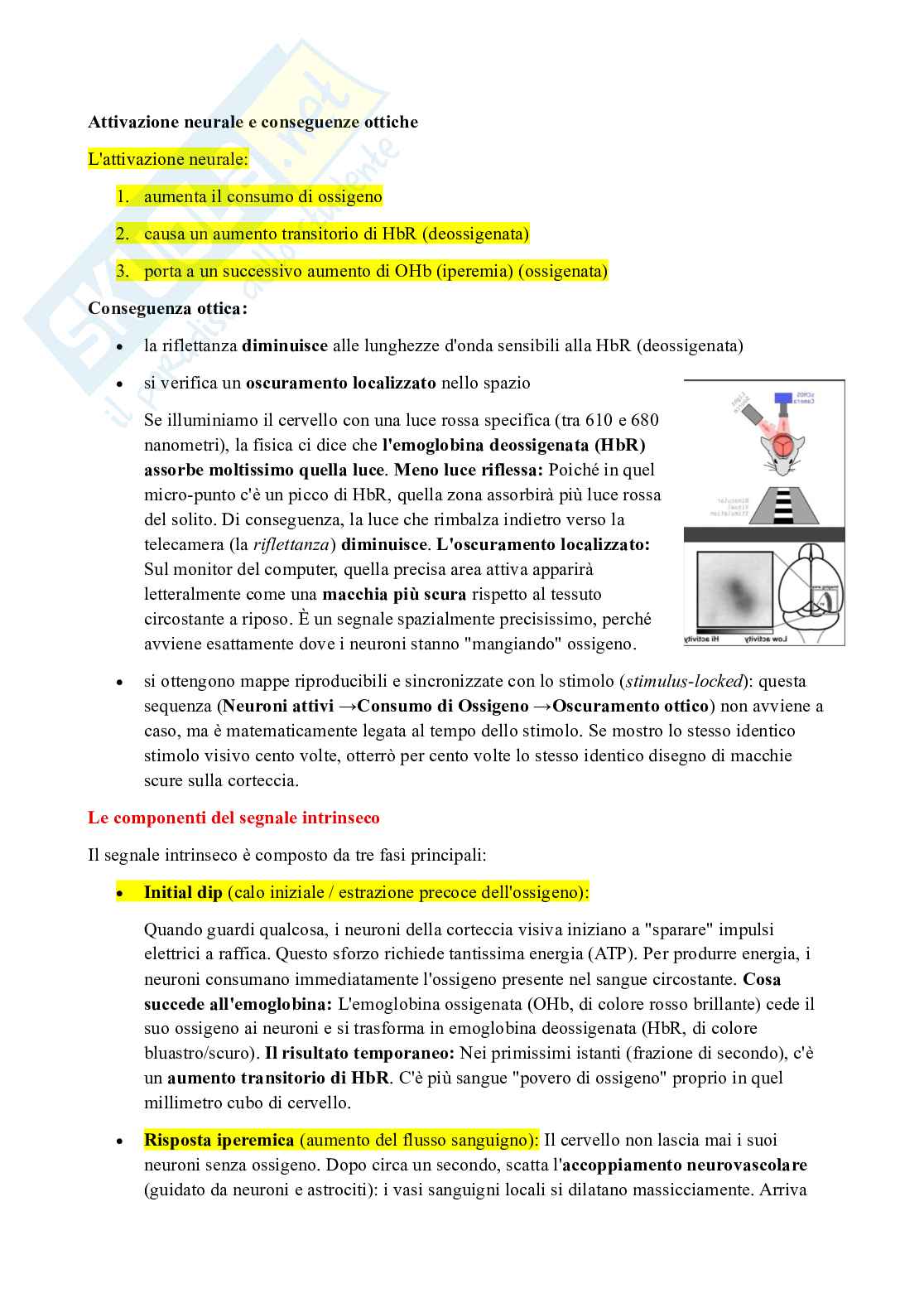Metodi di psicofisiologia e neuroimaging nella clinica e nelle neuroscienze cognitive Pag. 91