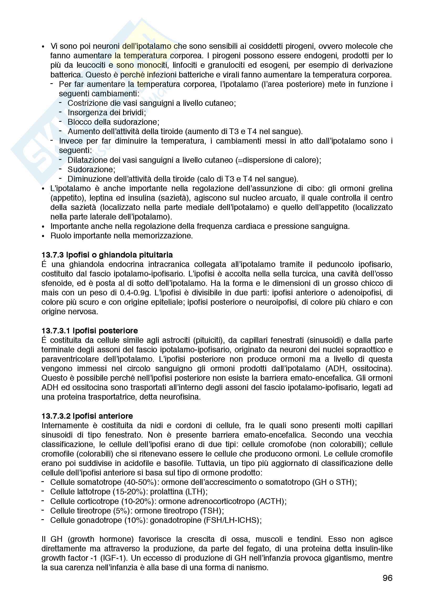 Istologia e Anatomia Umana Pag. 96
