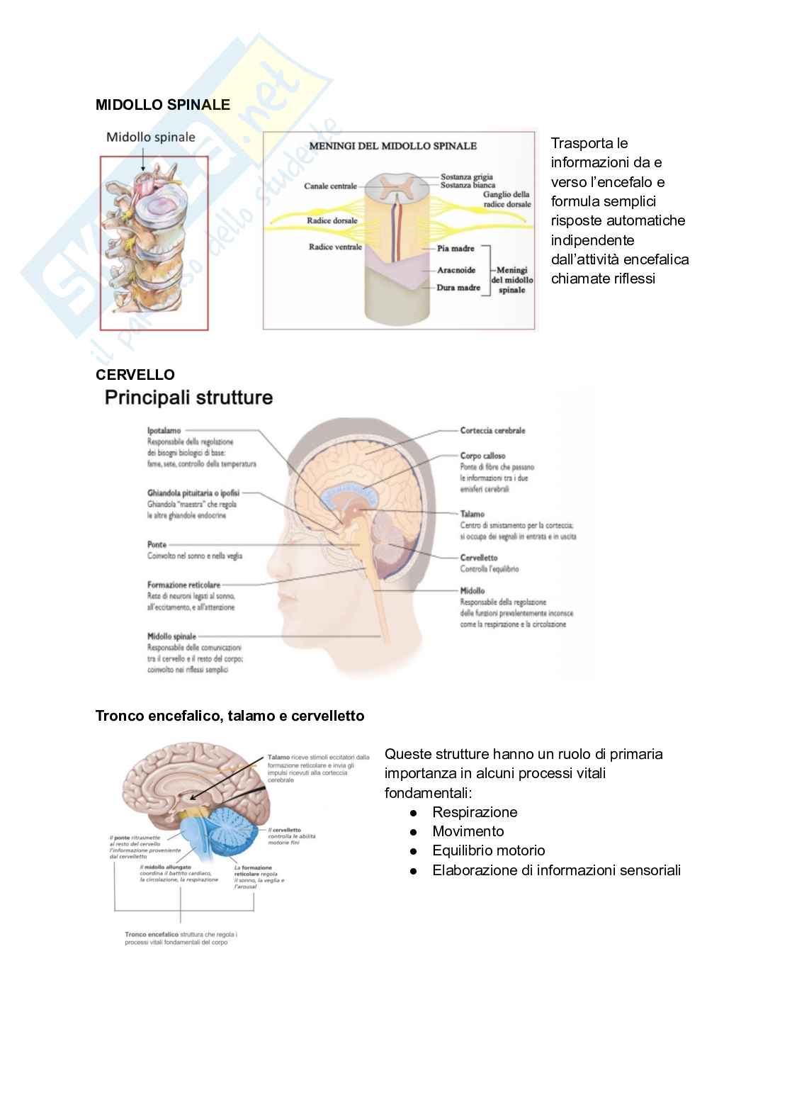 Psicologia generale Pag. 21