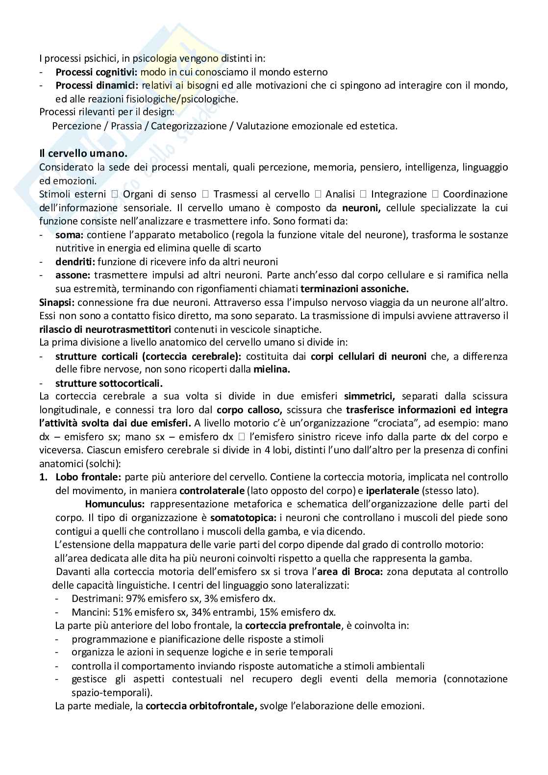 Appunti Psicologia Cognitiva e della percezione Pag. 2