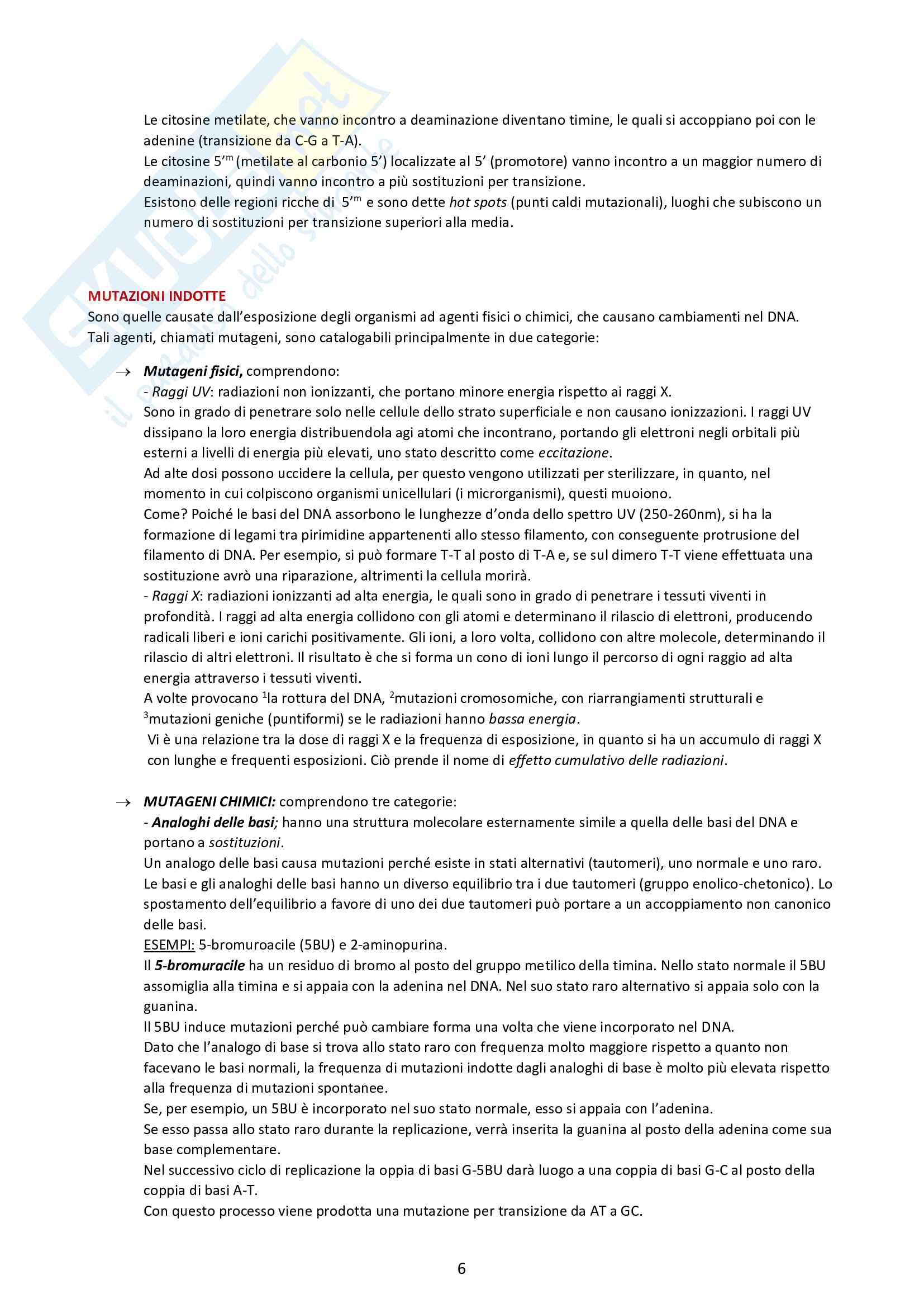 Secondo semestre genetica Pag. 6