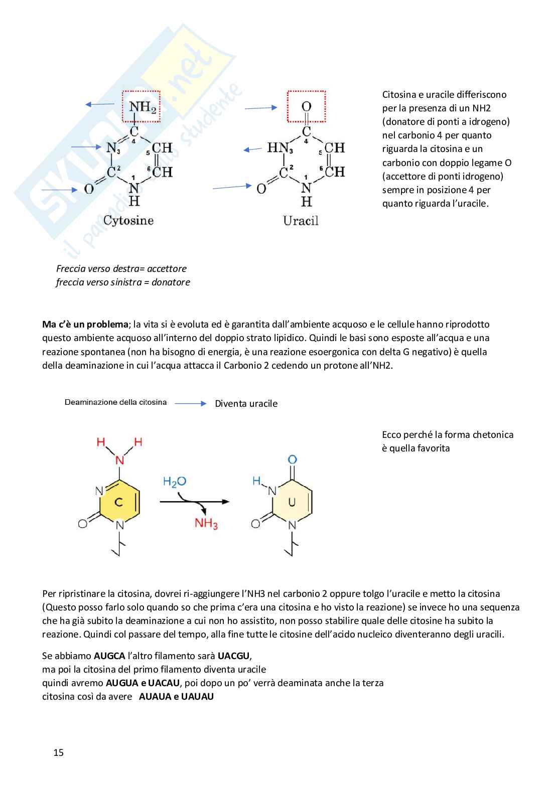 Biologia molecolare Pag. 16