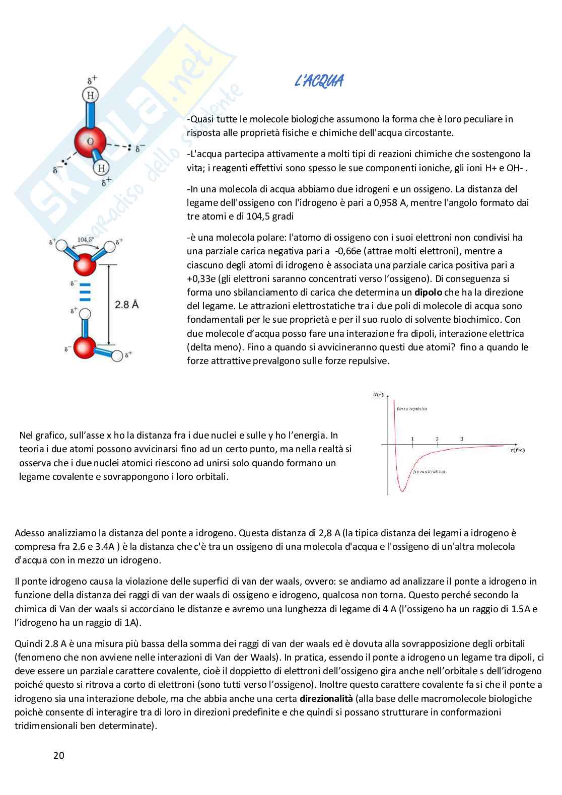 Biologia molecolare Pag. 21