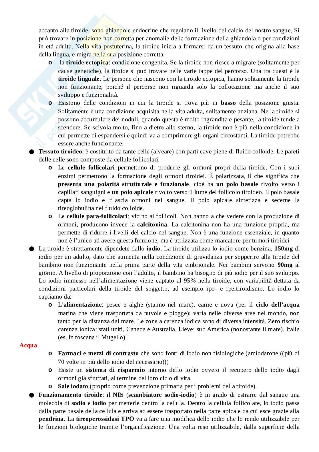 Appunti per l'esame di Endocrinologia  Pag. 6