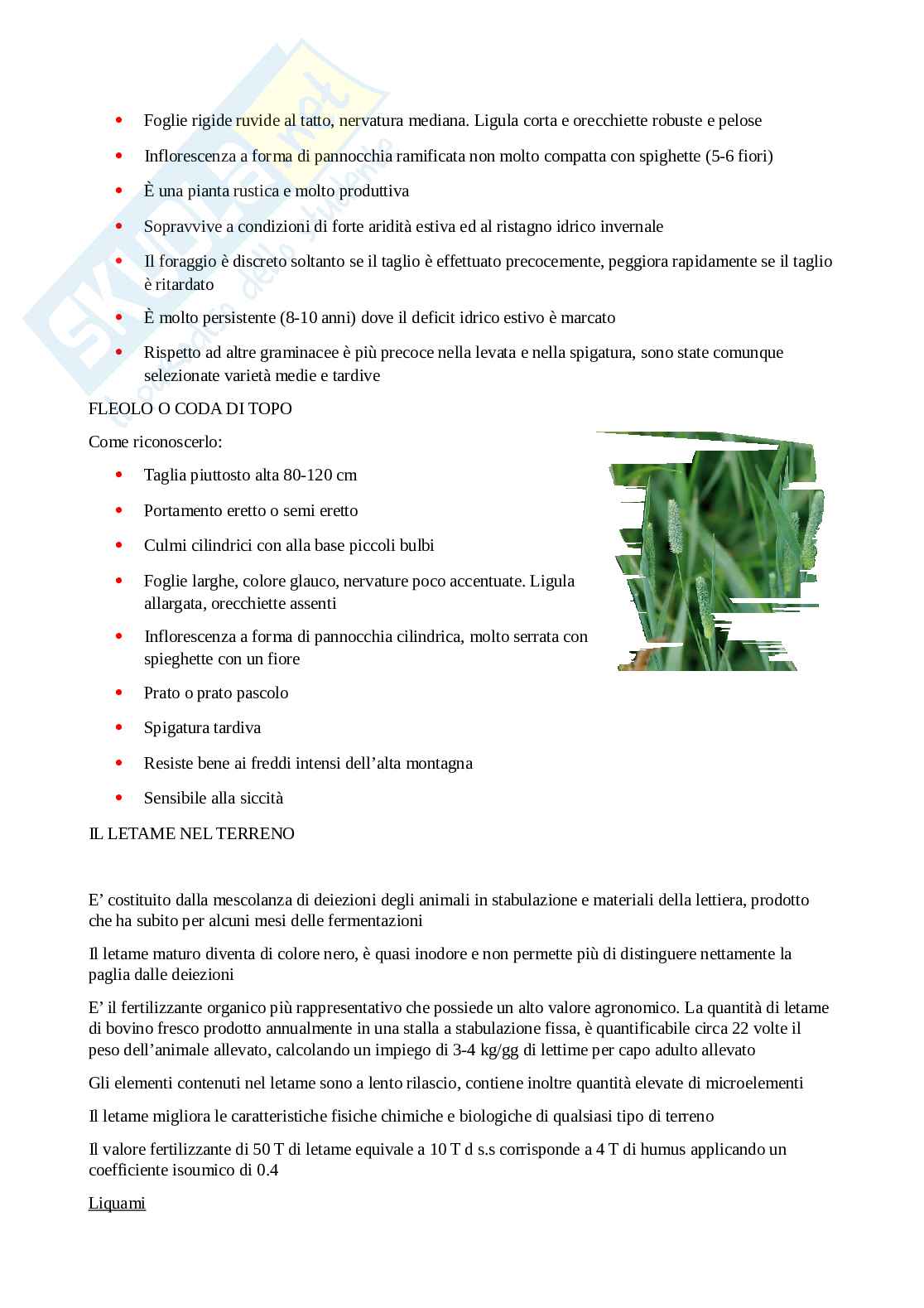 Appunti di agronomia Pag. 61