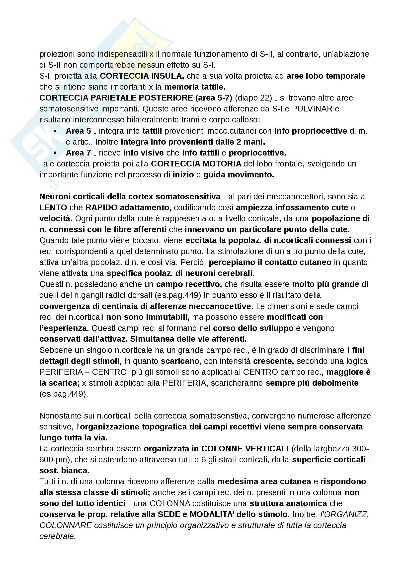 Riassunto esame Neurofisiologia, prof. Cuppini Pag. 36