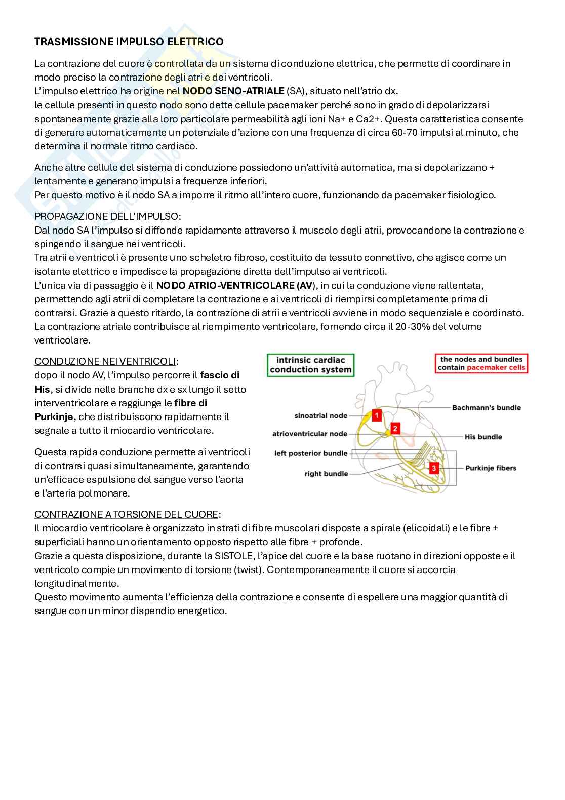 Appunti Metodologie di medicina cardiovascolare  Pag. 2