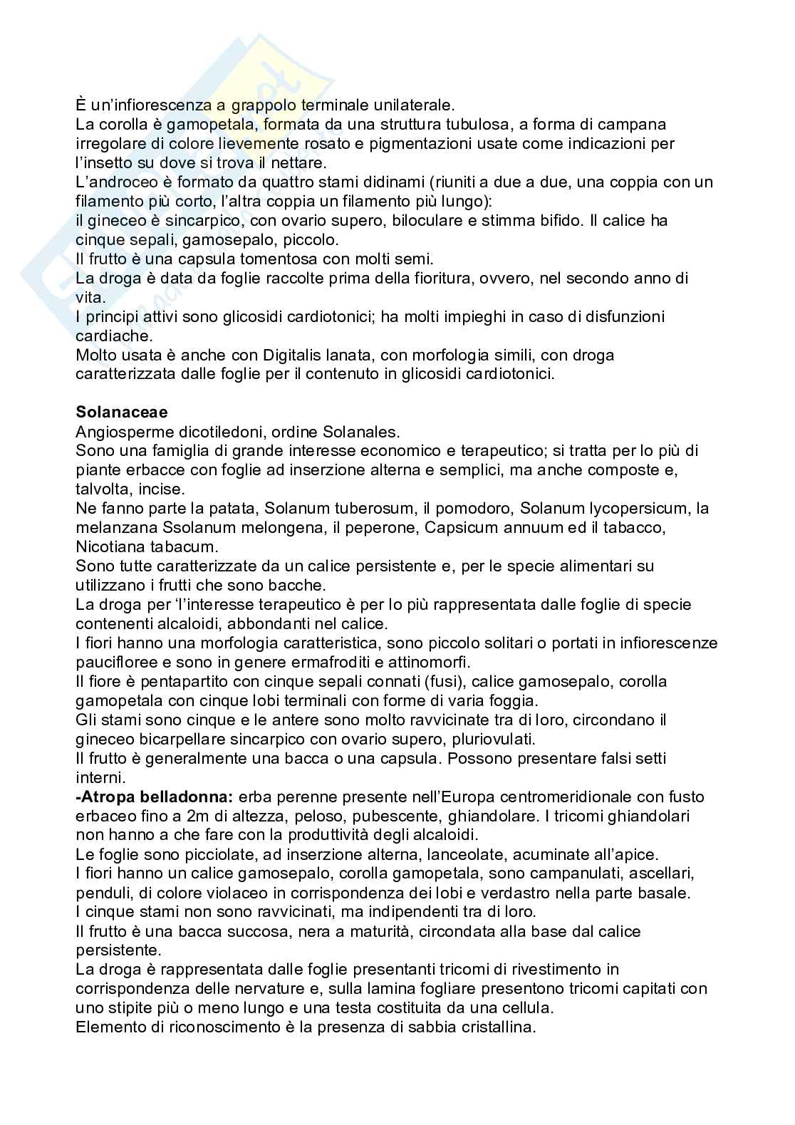 Appunti Biologia vegetale e botanica farmaceutica Pag. 86
