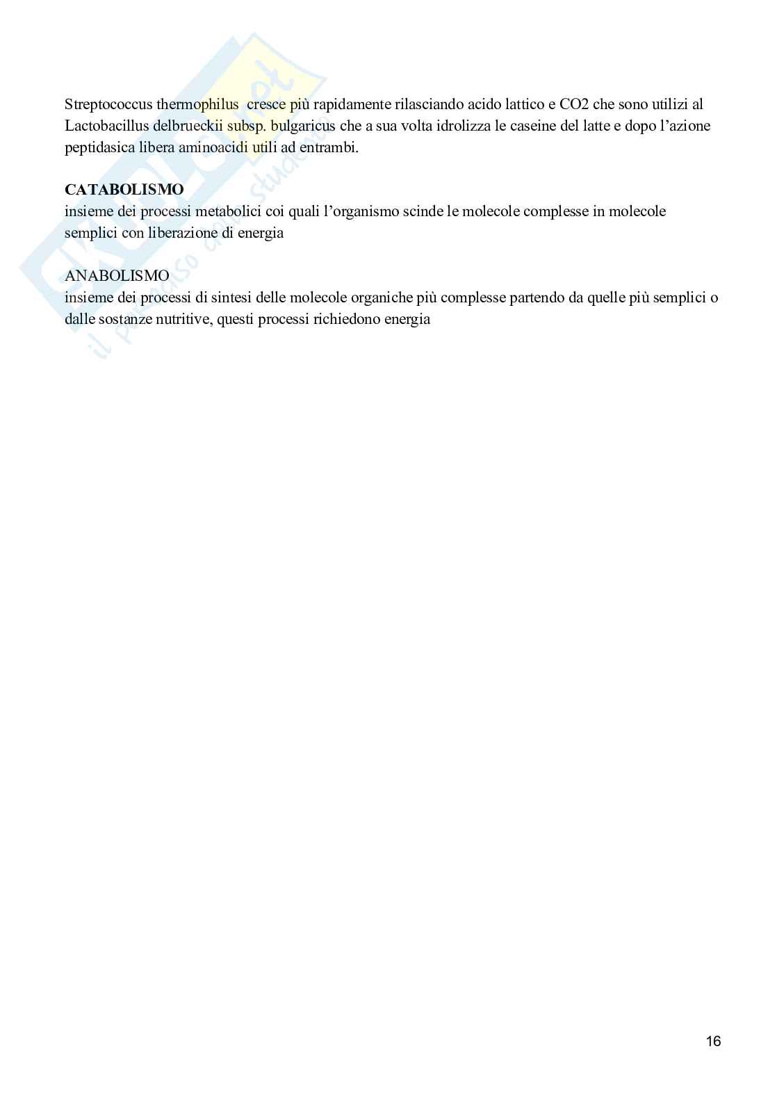 Microbiologia dei microrganismi Pag. 16