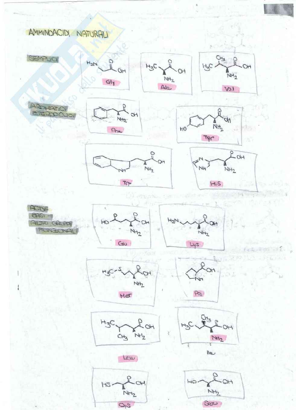 Chimica organica Pag. 31