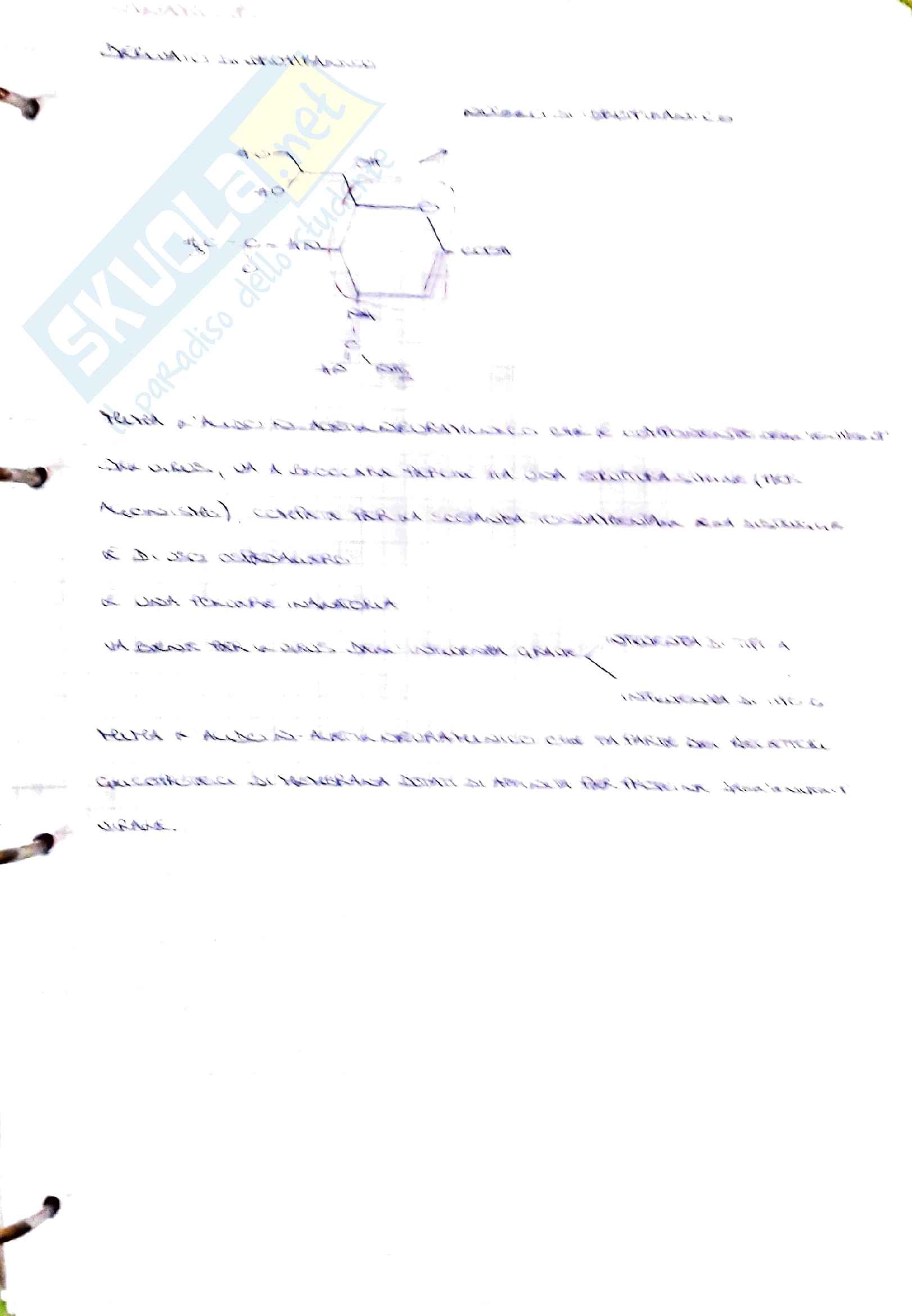 Appunti di chimica farmaceutica e tossicologia 1 su metabolismo e farmaci Pag. 11