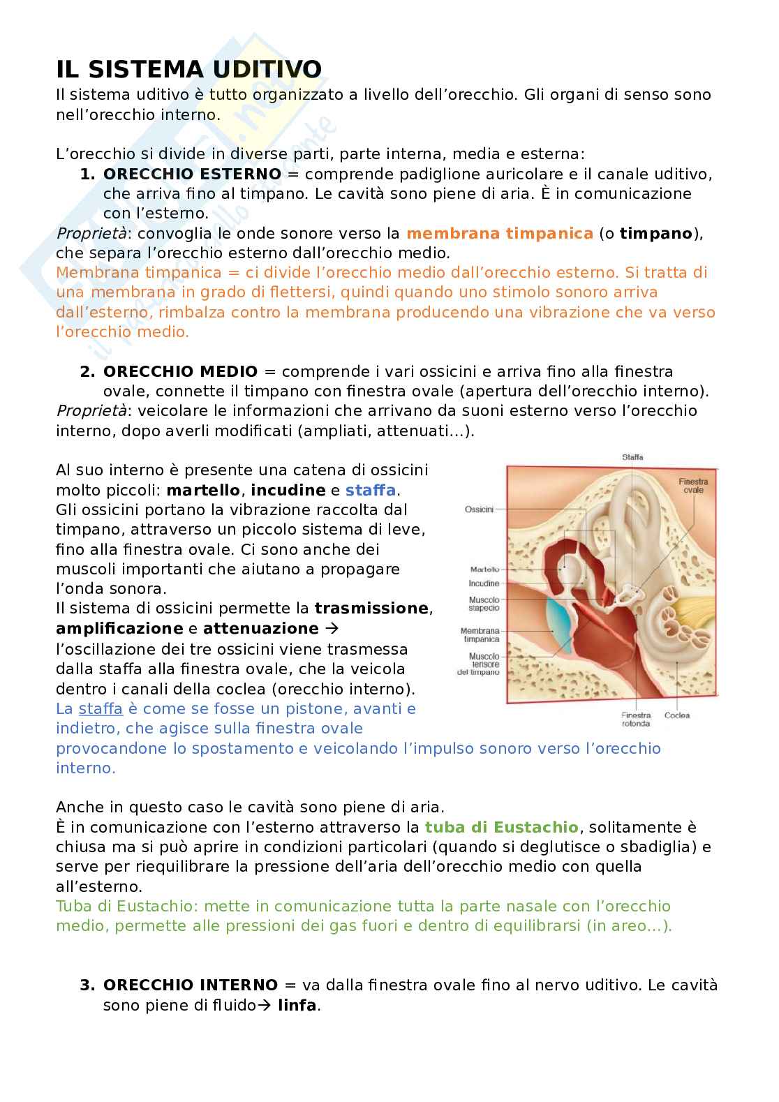 Sistema uditivo  Pag. 1