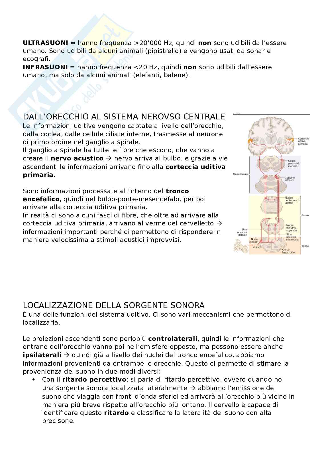 Sistema uditivo  Pag. 6