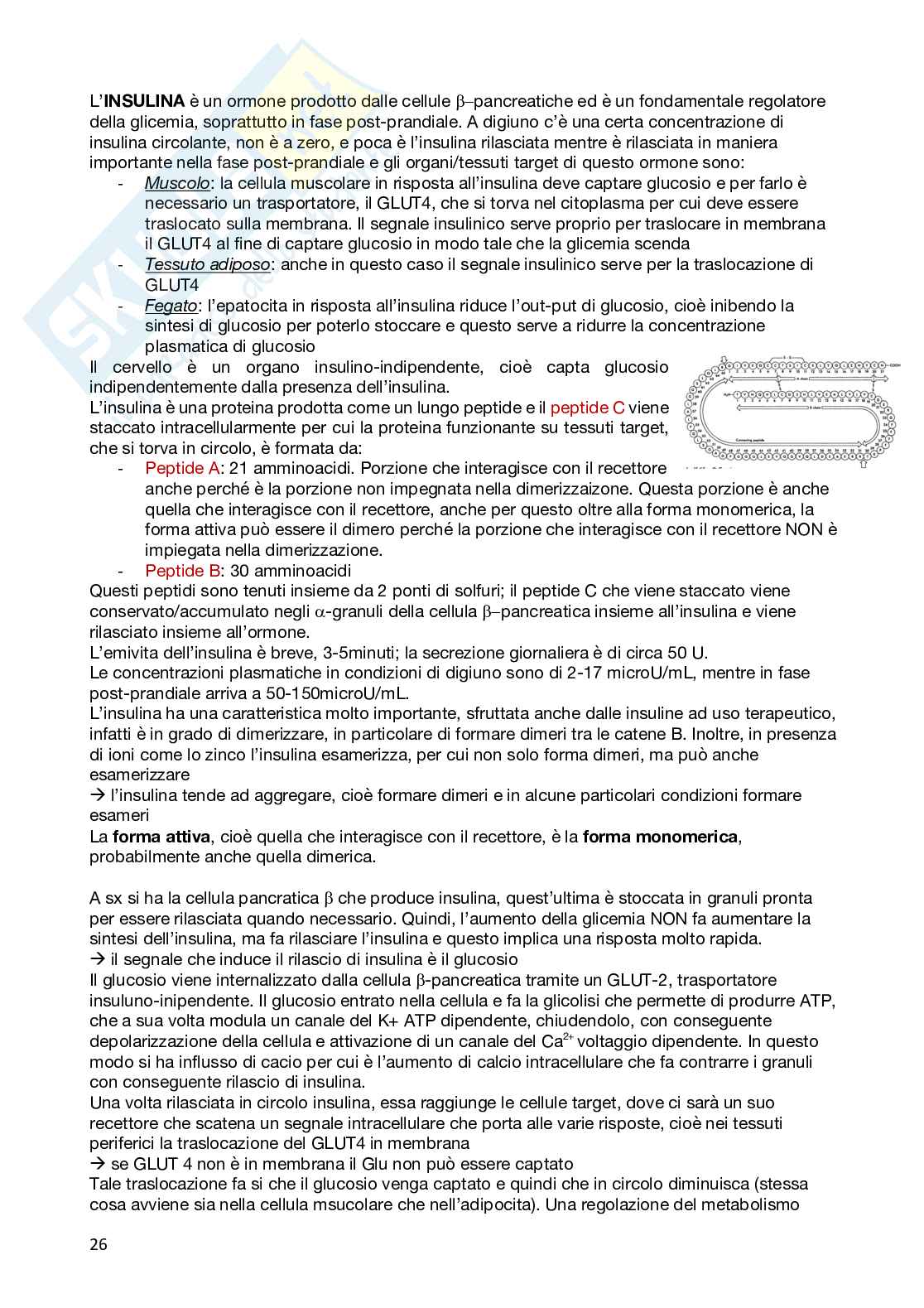 Farmacologia e farmacoterapia delle malattie cardio-cerebrovascolari Pag. 26
