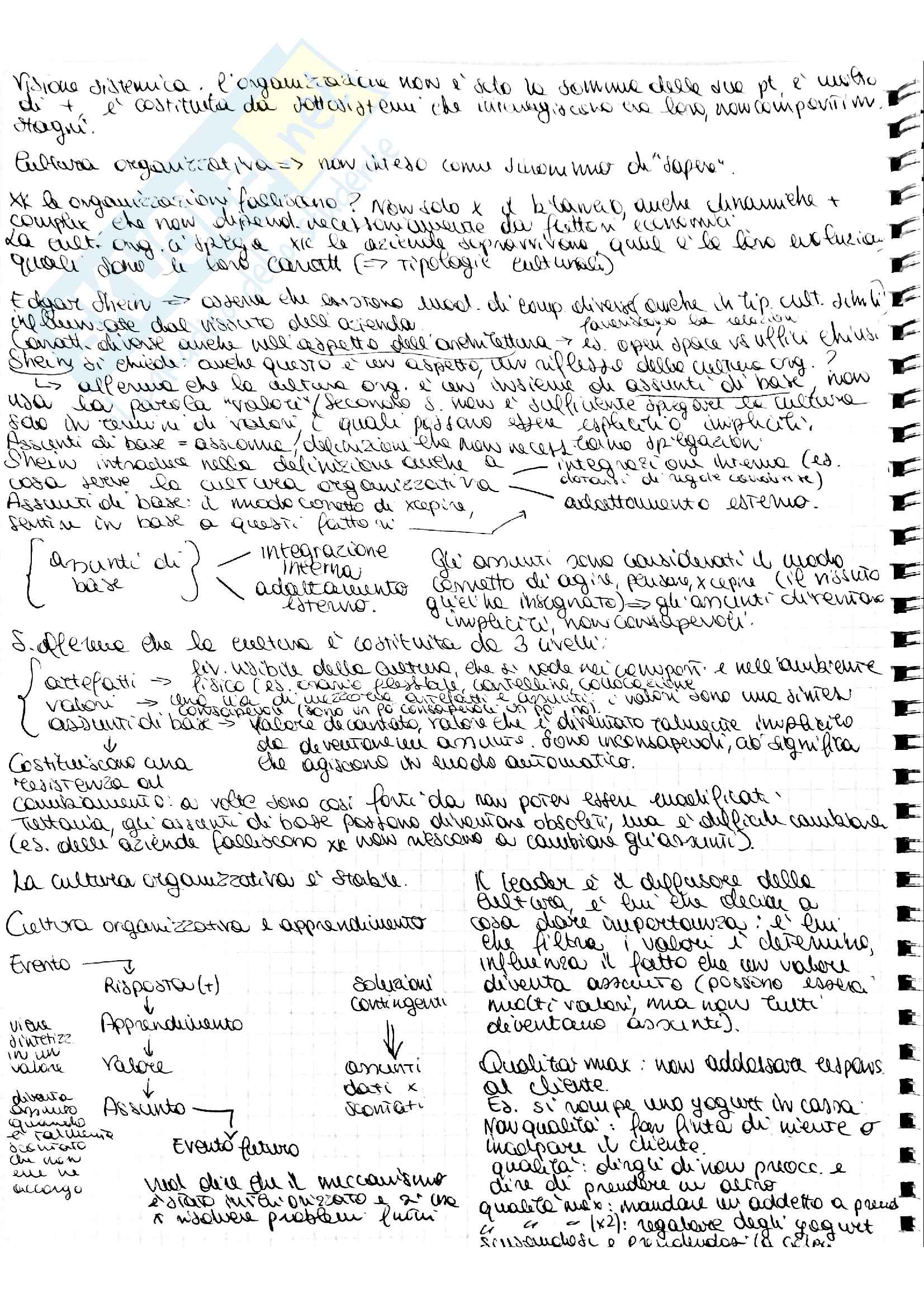 La cultura organizzativa Pag. 1