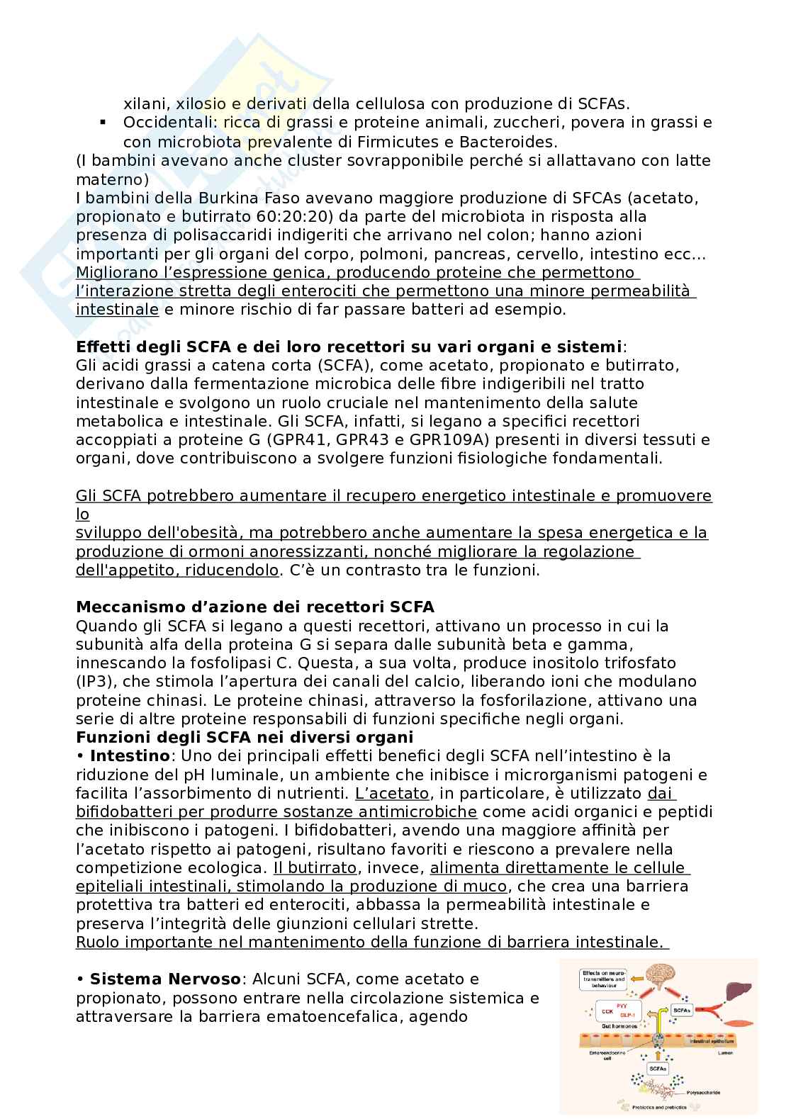 Appunti di Qualità e sicurezza microbiologica nei sistemi alimentari ed ecologia del microbiota umano Pag. 26