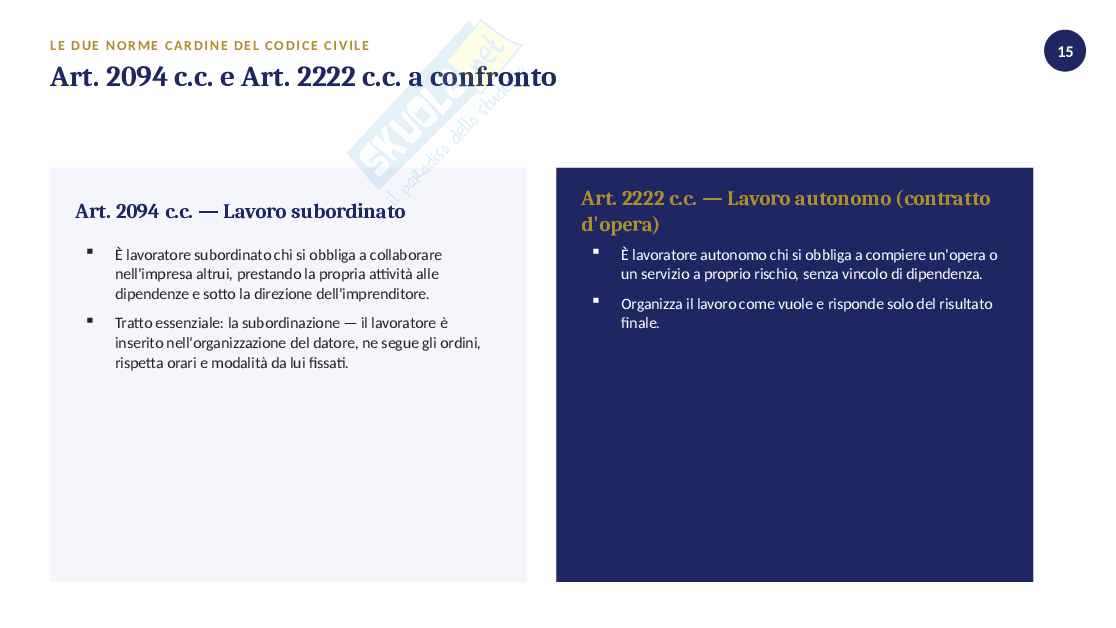 Schema introduttivo di Diritto del lavoro  Pag. 16